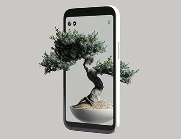 Egy bonsai fa nő ki térben egy telefonból mindkét oldalon
